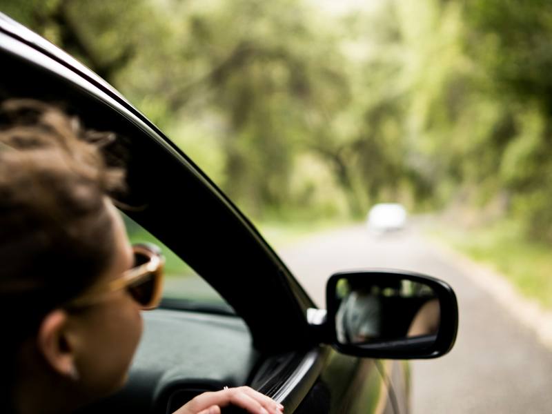 A driver looking out the window of a car on a tree-lined road